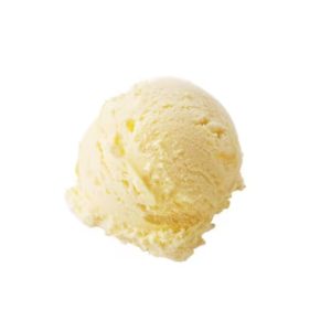 Vegan Vanilla Ice Cream